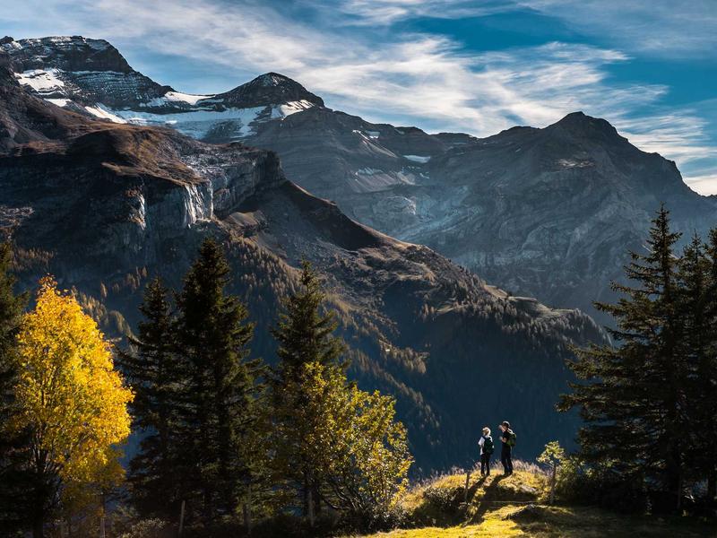 VexaUlfEnter Mar del Plata