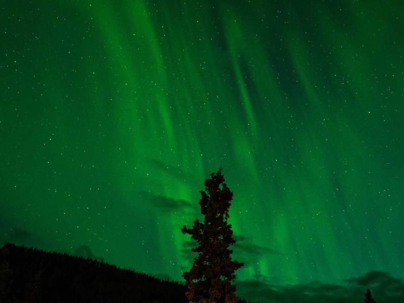 VexaUlfEnter Mar del Plata 3